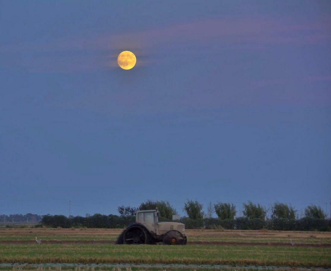 L' Espiga - Casa Rural Deltebre Exteriér fotografie